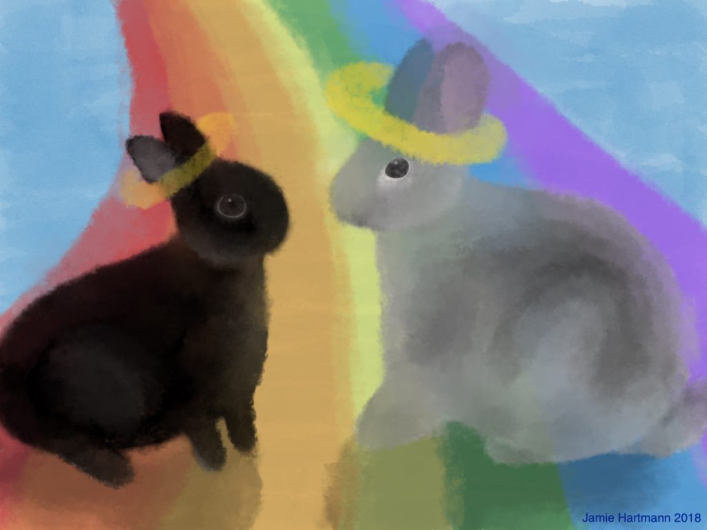 Two rabbits on the Rainbow Bridge